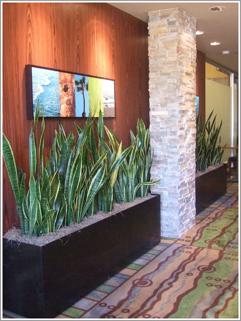 Embassy Suites La Jolla - Plant - Disco Room