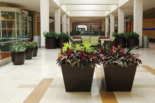 Shopping Mall Common Area Plants