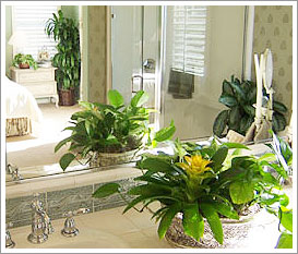 Model Home Plant Service