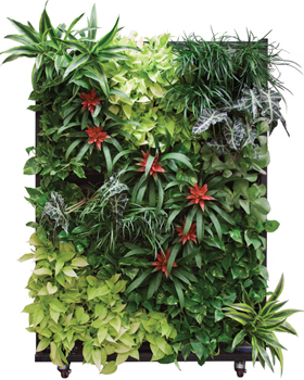 Living Walls