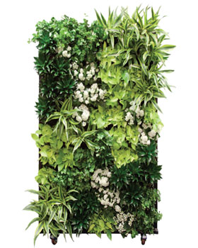 Living Walls