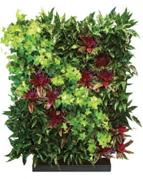 Living Walls